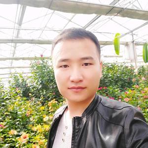 游戏卡（游戏卡片）-微PE WEIPE.NET