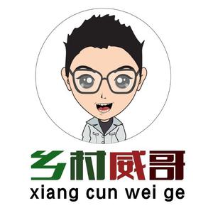 乡村威哥 头像