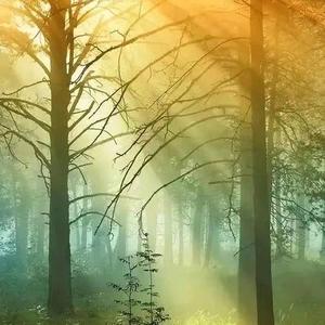 我爱我家99 头像