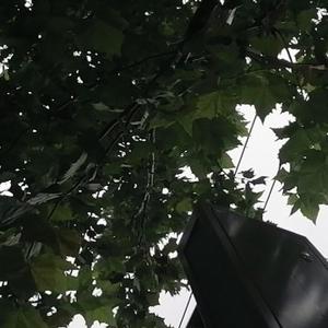 智慧树下你和我 头像