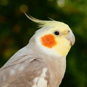 小杨带你看世间