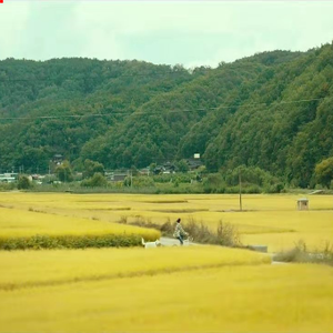 美羊羊的维修店 头像