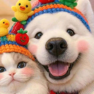 方块局安神 头像