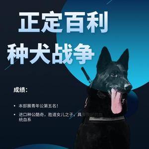 石家庄百利训犬头像