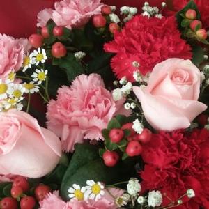 维娜之日常 头像