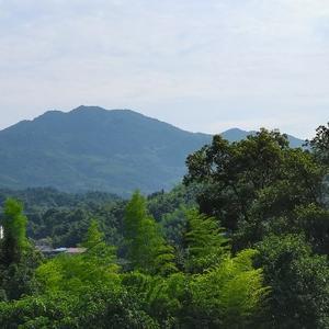 湘醴Li小曾头像