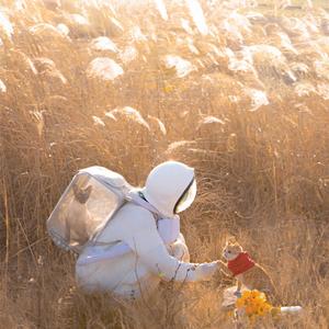 快乐布莱滋 头像