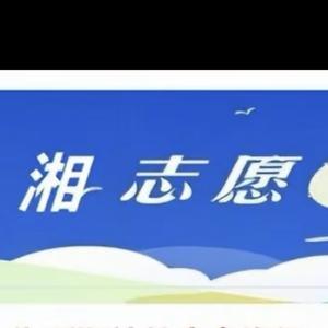 湘志愿 头像