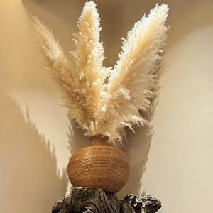 其乐融融黄桃罐头 头像