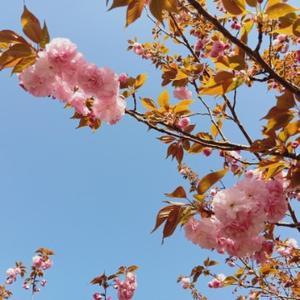 点亮心路的人 头像