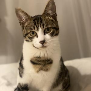 林叔的呓语 头像